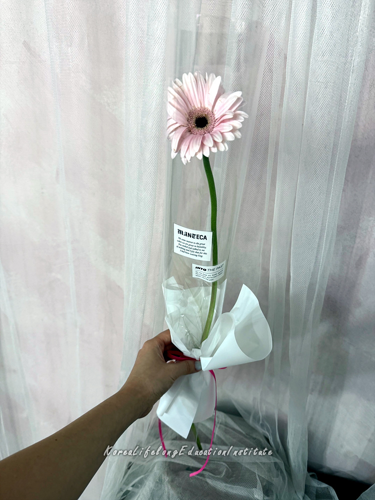 사용자 등록이미지